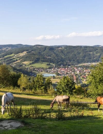 trasy wyjazdów konnych laskowa